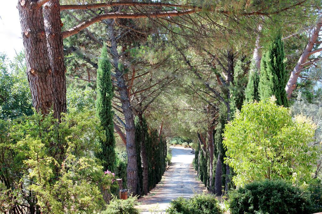 Agriturismo Antico Borgo Poggitazzi Vila Loro Ciuffenna Exterior foto